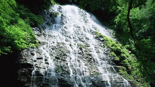 高标准独特数字化
